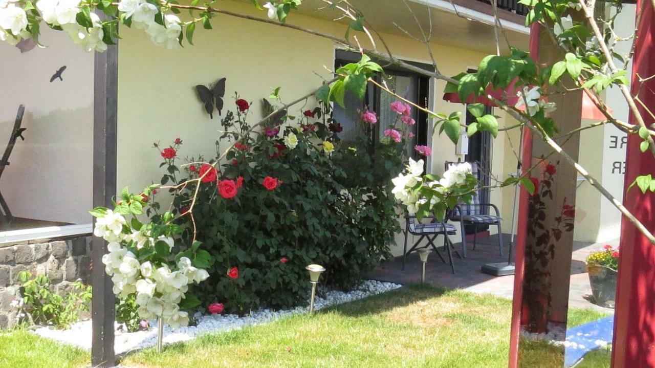 Ferienwohnung Panoramablick Schleiden Eksteriør billede